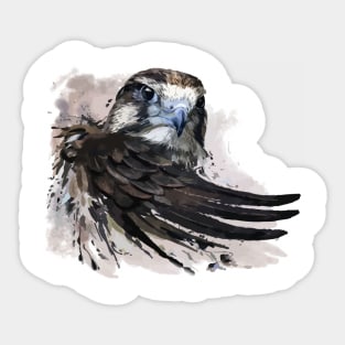 Eagle Sticker